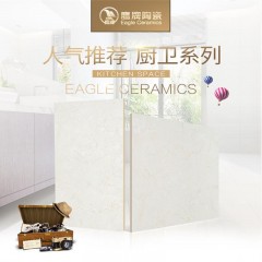 鹰牌瓷砖  锦绣 TM4PM-T06E 300*600mm